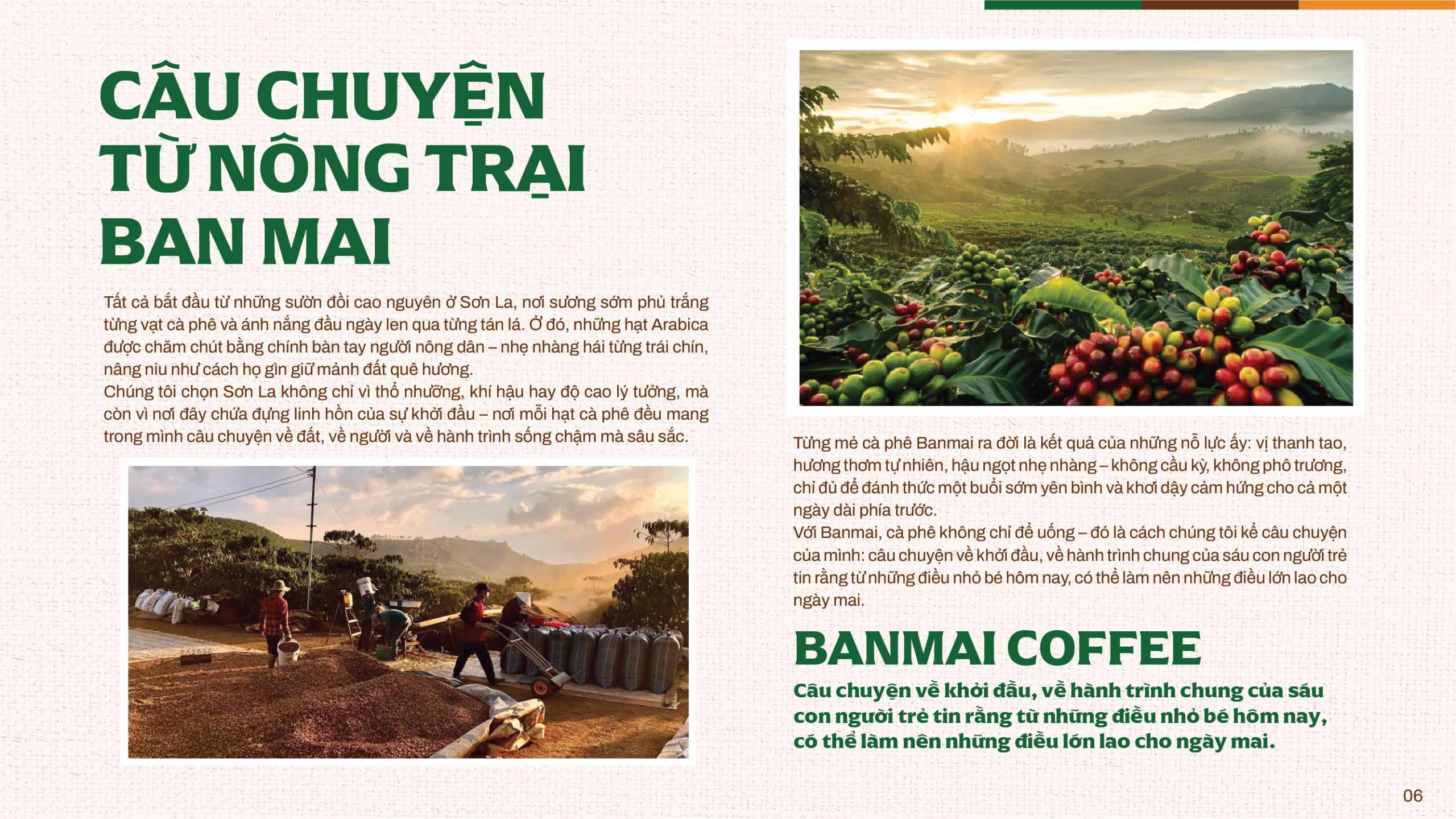 Lợi ích khi sử dụng Cà Phê Arabica 100% Nguyên Chất (Cao Cấp)