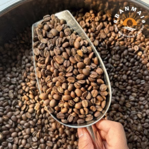 hạt cà phê