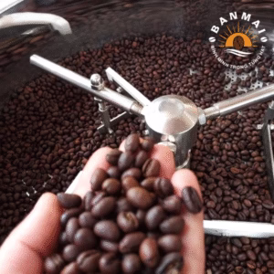 ủ cà phê sau khi rang